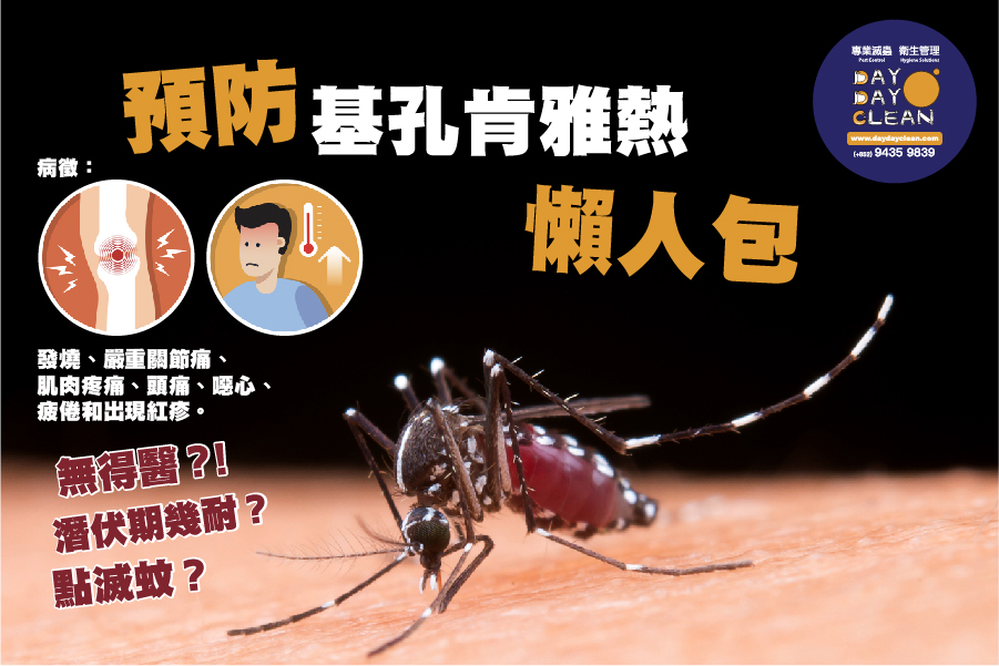 案例分析：香港滅蟲龍頭企業的Google評論運營秘訣